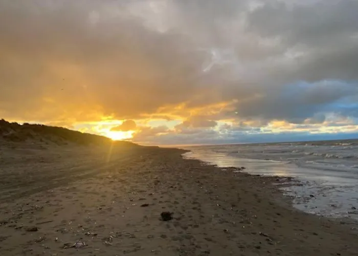 Modern - Zeezicht - Perfecte Ligging Apartment Koksijde